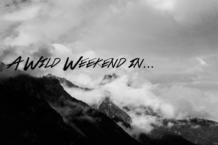 A Wild Weekend In…